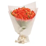 25 пионовидных оранжевых тюльпанов