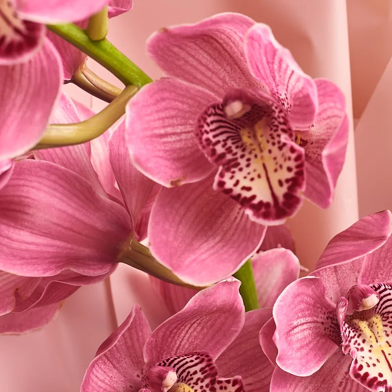 Букет из розовой орхидеи