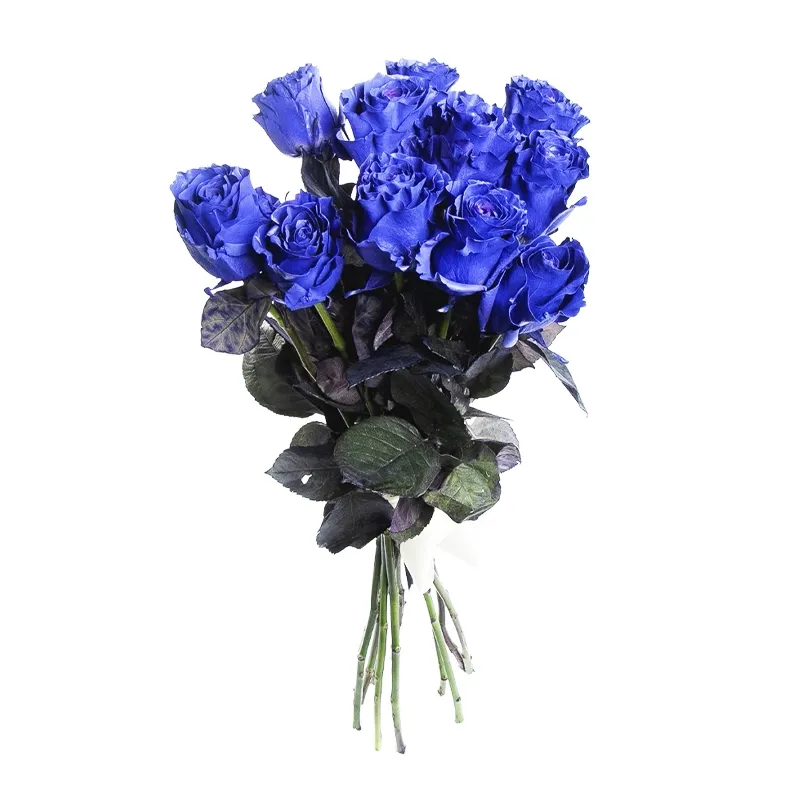 Композиция из 11 синих роз голландия